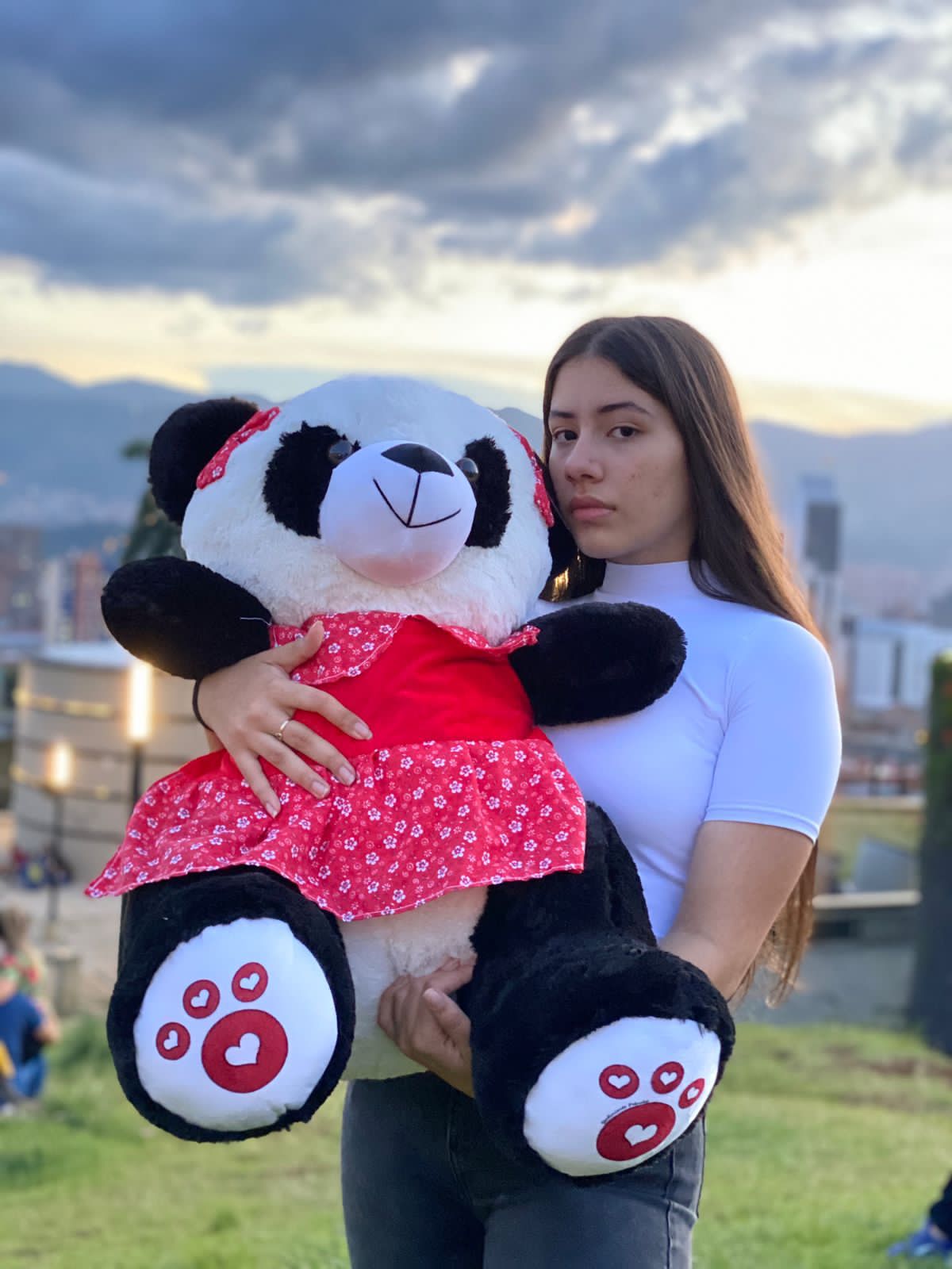 Peluche Oso Panda 1m - Varios Modelos | DigitalStyle HUB